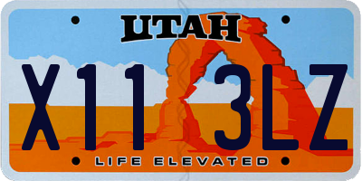 UT license plate X113LZ