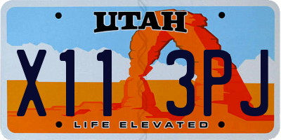 UT license plate X113PJ