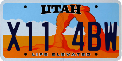 UT license plate X114BW