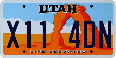 UT license plate X114DN