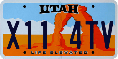 UT license plate X114TV