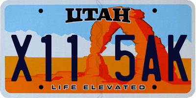 UT license plate X115AK