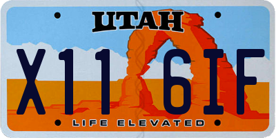 UT license plate X116IF