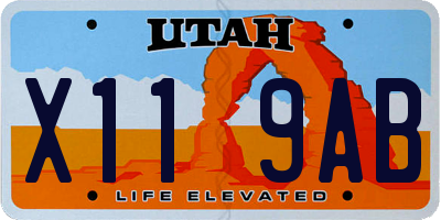 UT license plate X119AB