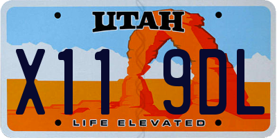UT license plate X119DL
