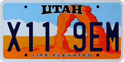 UT license plate X119EM
