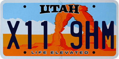 UT license plate X119HM