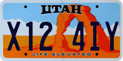UT license plate X124IY