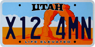 UT license plate X124MN