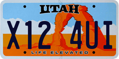 UT license plate X124UI