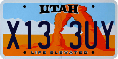 UT license plate X133UY