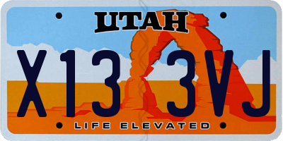 UT license plate X133VJ