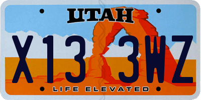 UT license plate X133WZ