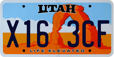 UT license plate X163CF
