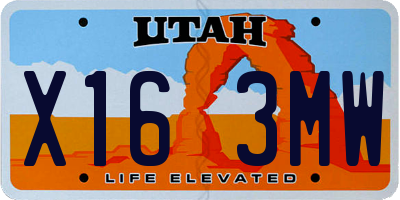 UT license plate X163MW