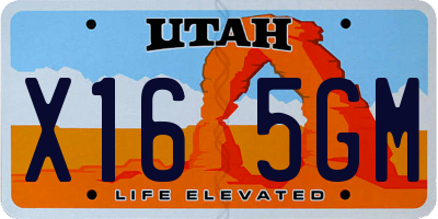 UT license plate X165GM