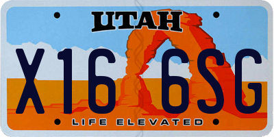 UT license plate X166SG