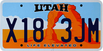 UT license plate X183JM