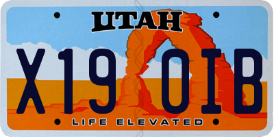 UT license plate X190IB