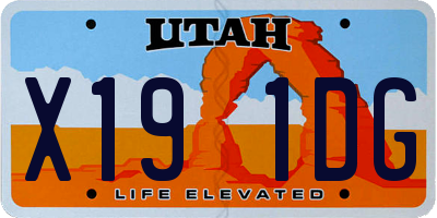 UT license plate X191DG