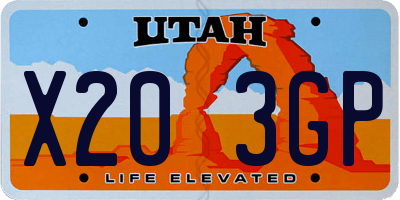 UT license plate X203GP