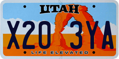 UT license plate X203YA