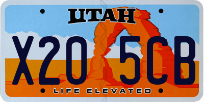 UT license plate X205CB