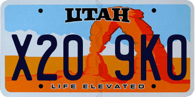 UT license plate X209KO