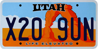 UT license plate X209UN