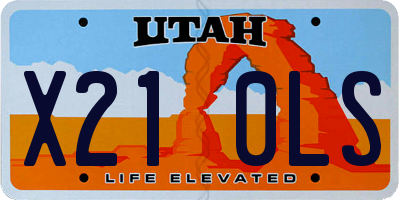 UT license plate X210LS