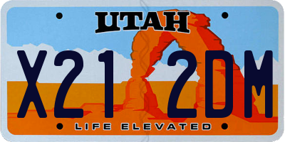 UT license plate X212DM