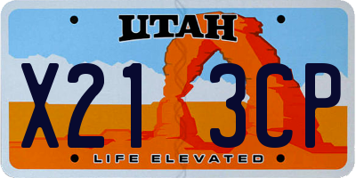 UT license plate X213CP