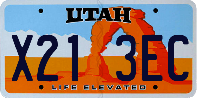 UT license plate X213EC