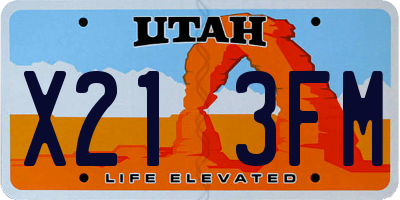 UT license plate X213FM