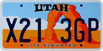 UT license plate X213GP