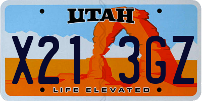 UT license plate X213GZ