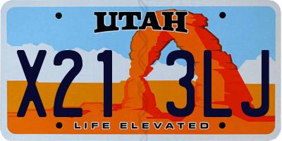 UT license plate X213LJ