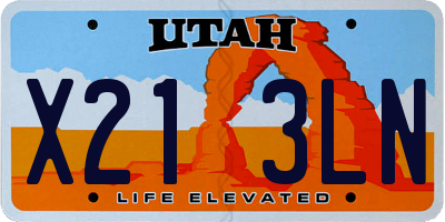 UT license plate X213LN