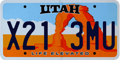 UT license plate X213MU