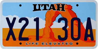 UT license plate X213OA