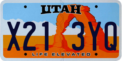 UT license plate X213YQ