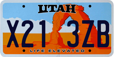 UT license plate X213ZB