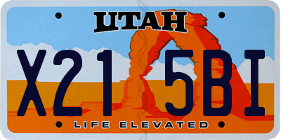 UT license plate X215BI