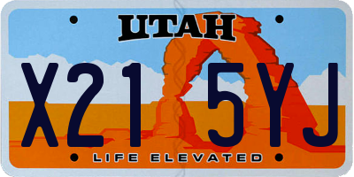 UT license plate X215YJ