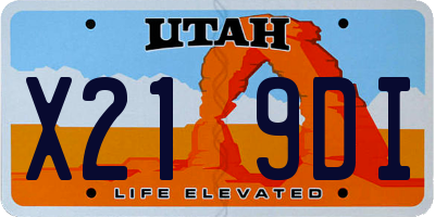 UT license plate X219DI