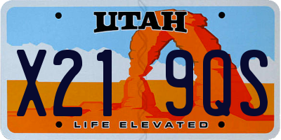 UT license plate X219QS