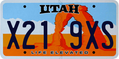 UT license plate X219XS