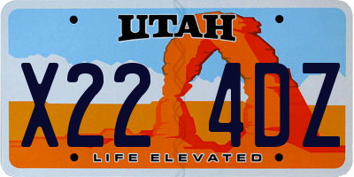 UT license plate X224DZ