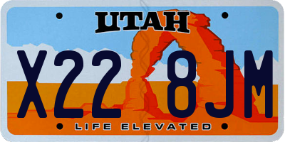 UT license plate X228JM