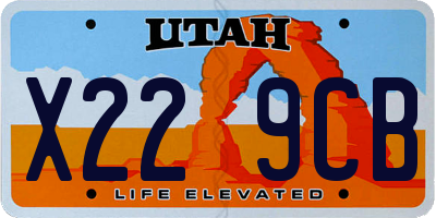 UT license plate X229CB